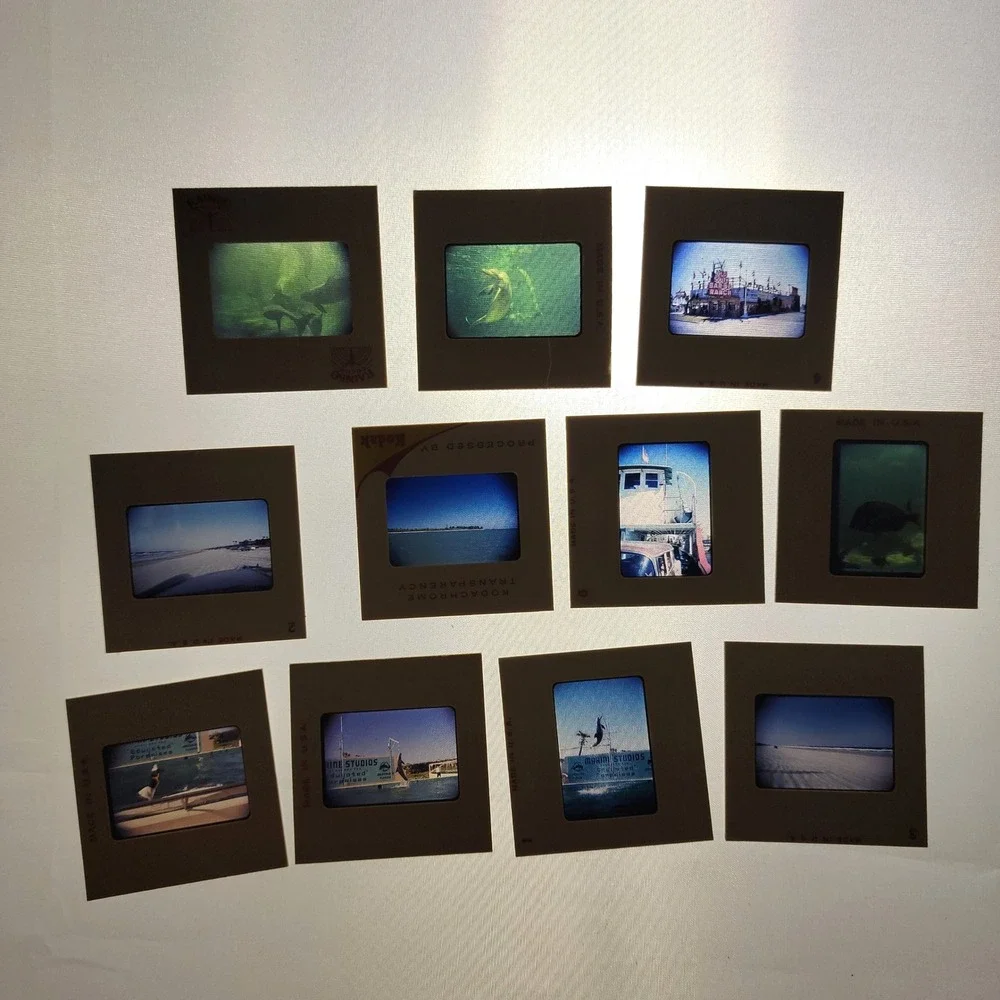 Vintage 1960 Florida Vacation 35mm Slides Lot Marineland Metal Case Kodachrome